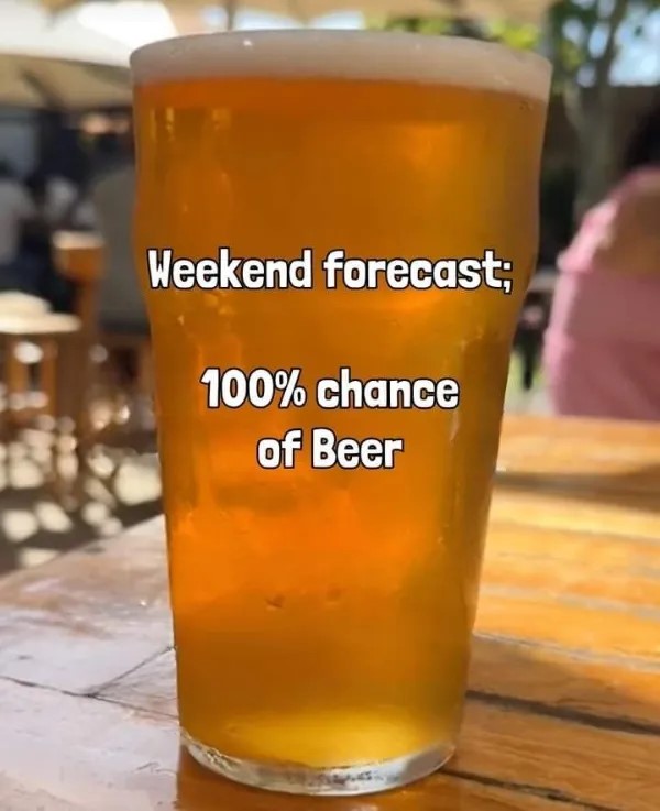 chive11.jpg