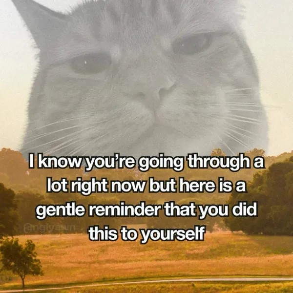 aPwP2.jpg