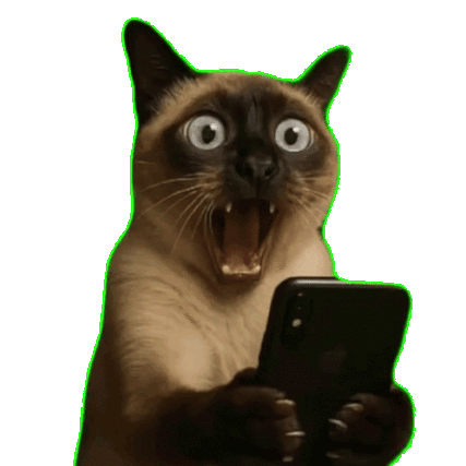 1000015177.gif