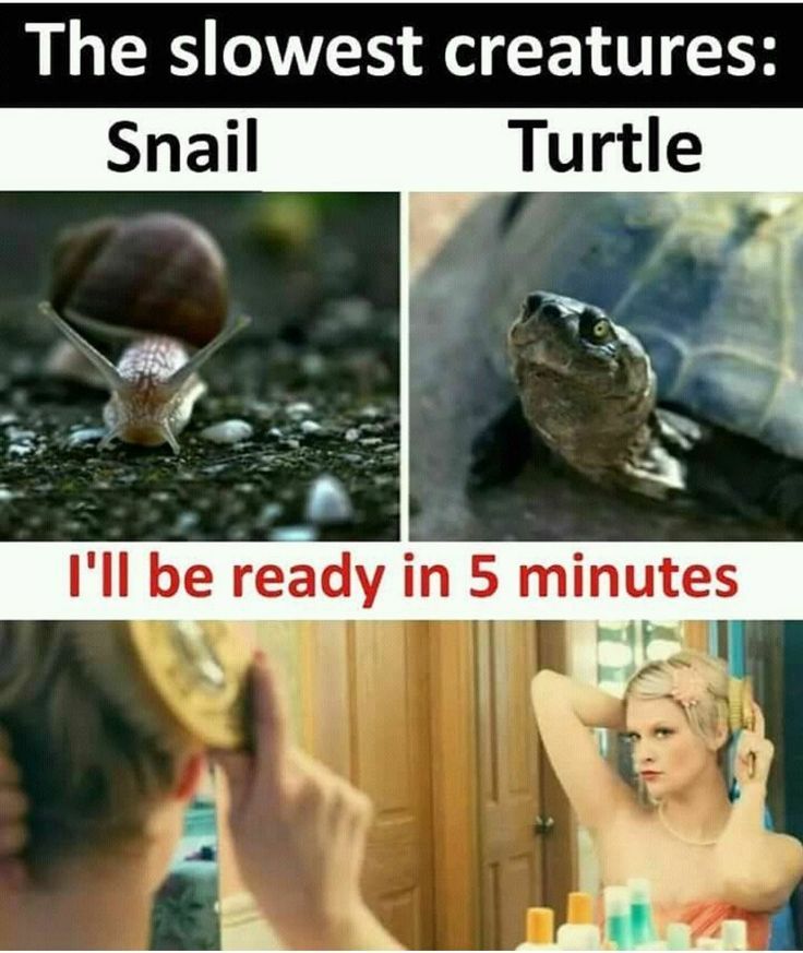 Slowest-creatures.jpeg