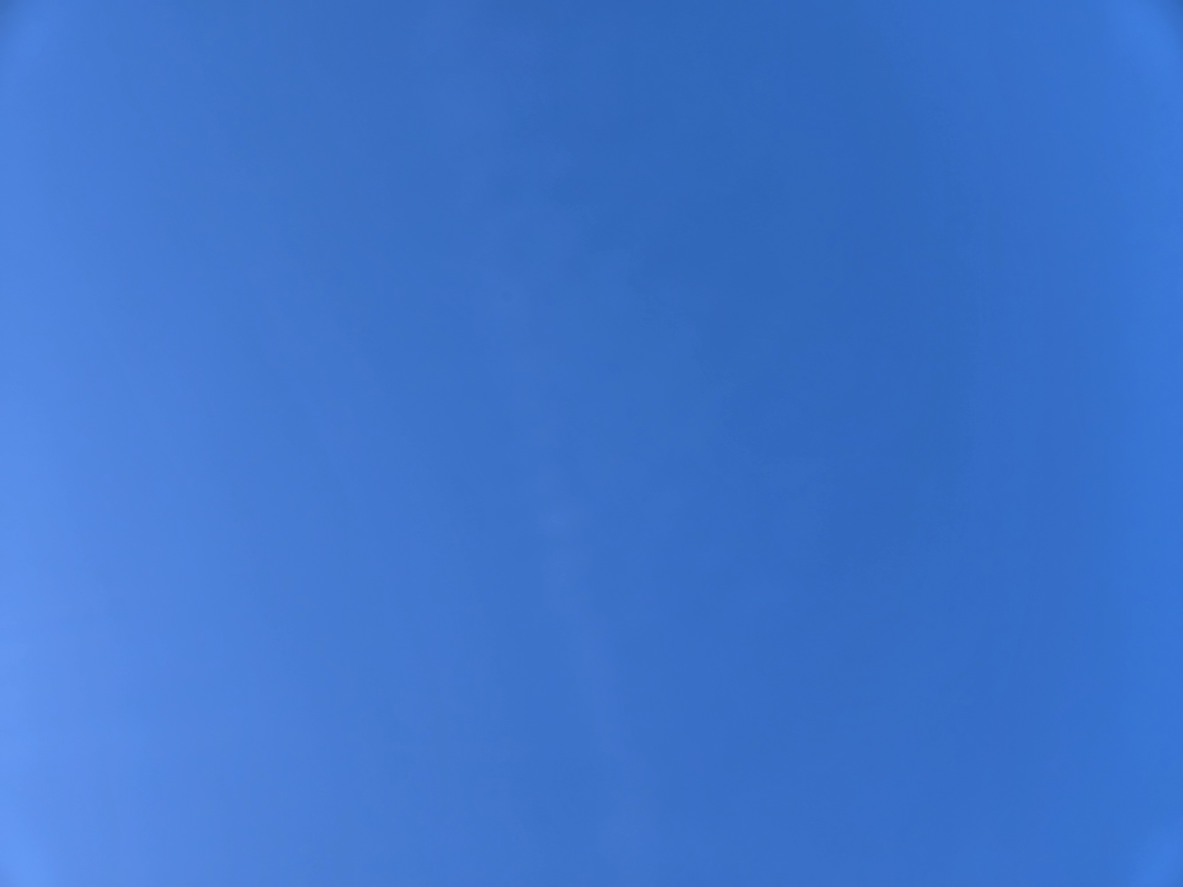 1000010445.jpg