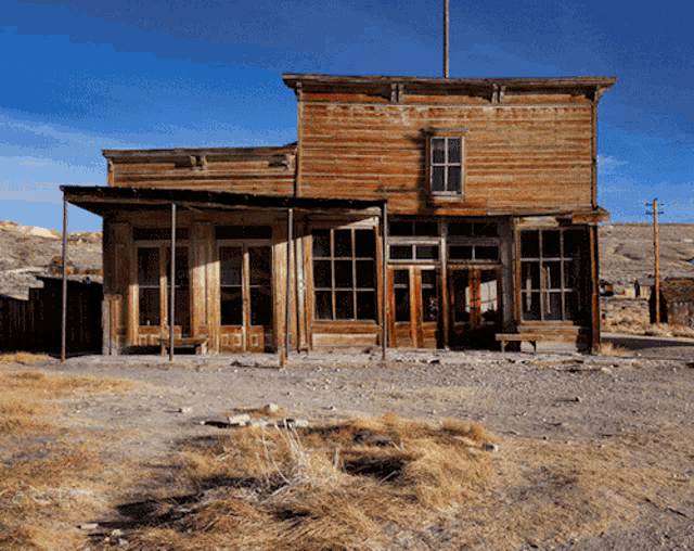 IMG_7919.gif
