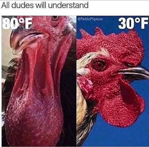 nsfw_04.jpg