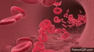 red-blood.gif