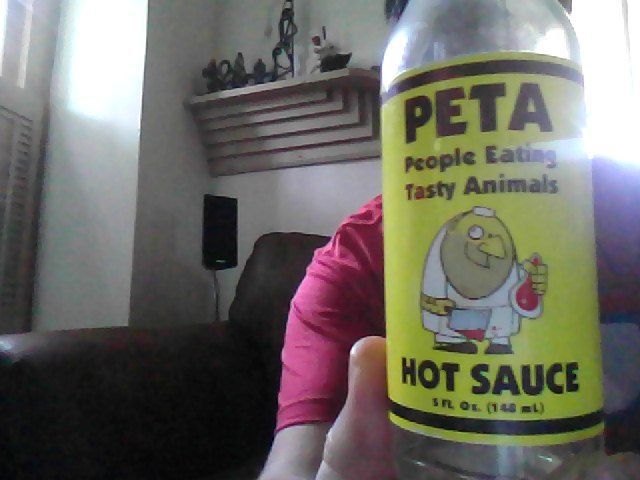 picdump_781_24.jpg