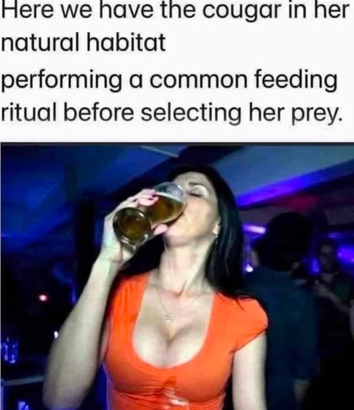 habitat.jpeg