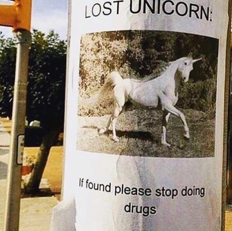 unicorn.jpeg