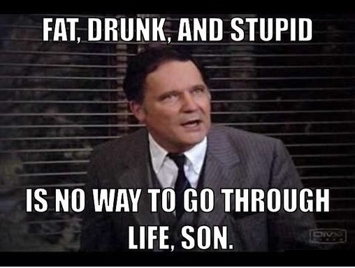 Fat drunk stupid.jpg