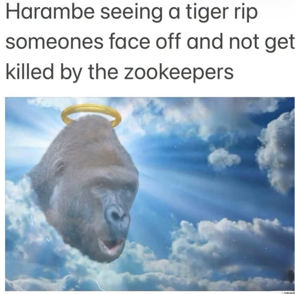1000055244.png