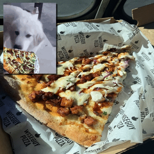 oie_overlay (14).gif