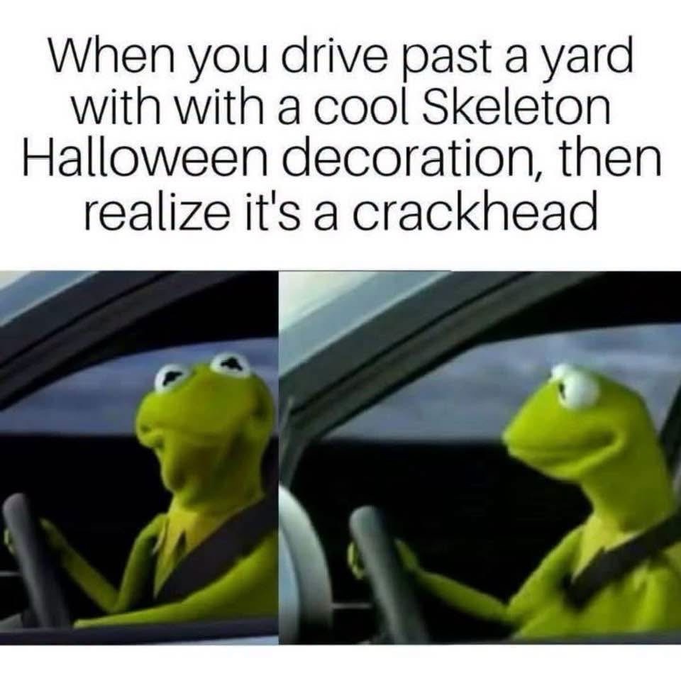 drive-past.jpeg