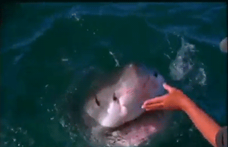 crazy_36.gif