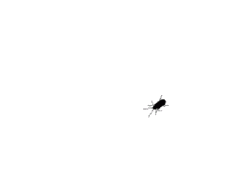 1792598921874-44f4505497f072dbf5324568243056b9.gif