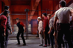 image.gif