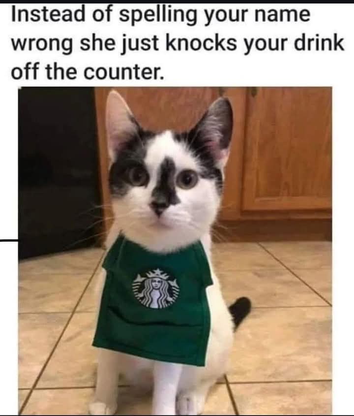 your-name.jpeg