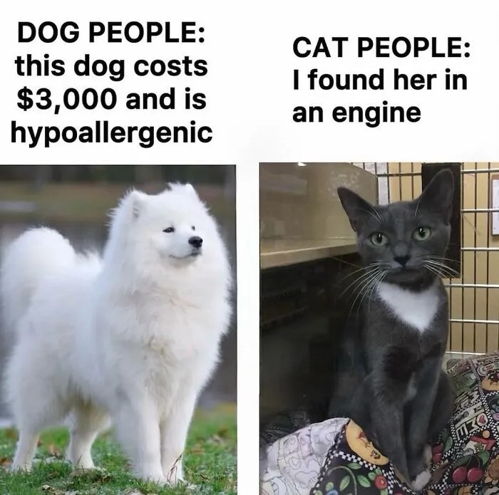 found-her.jpg