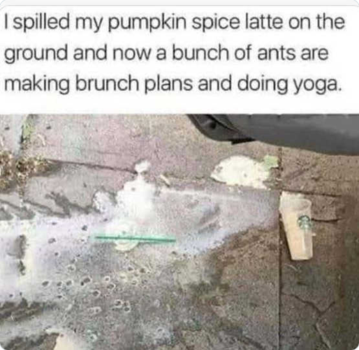 Spice.png