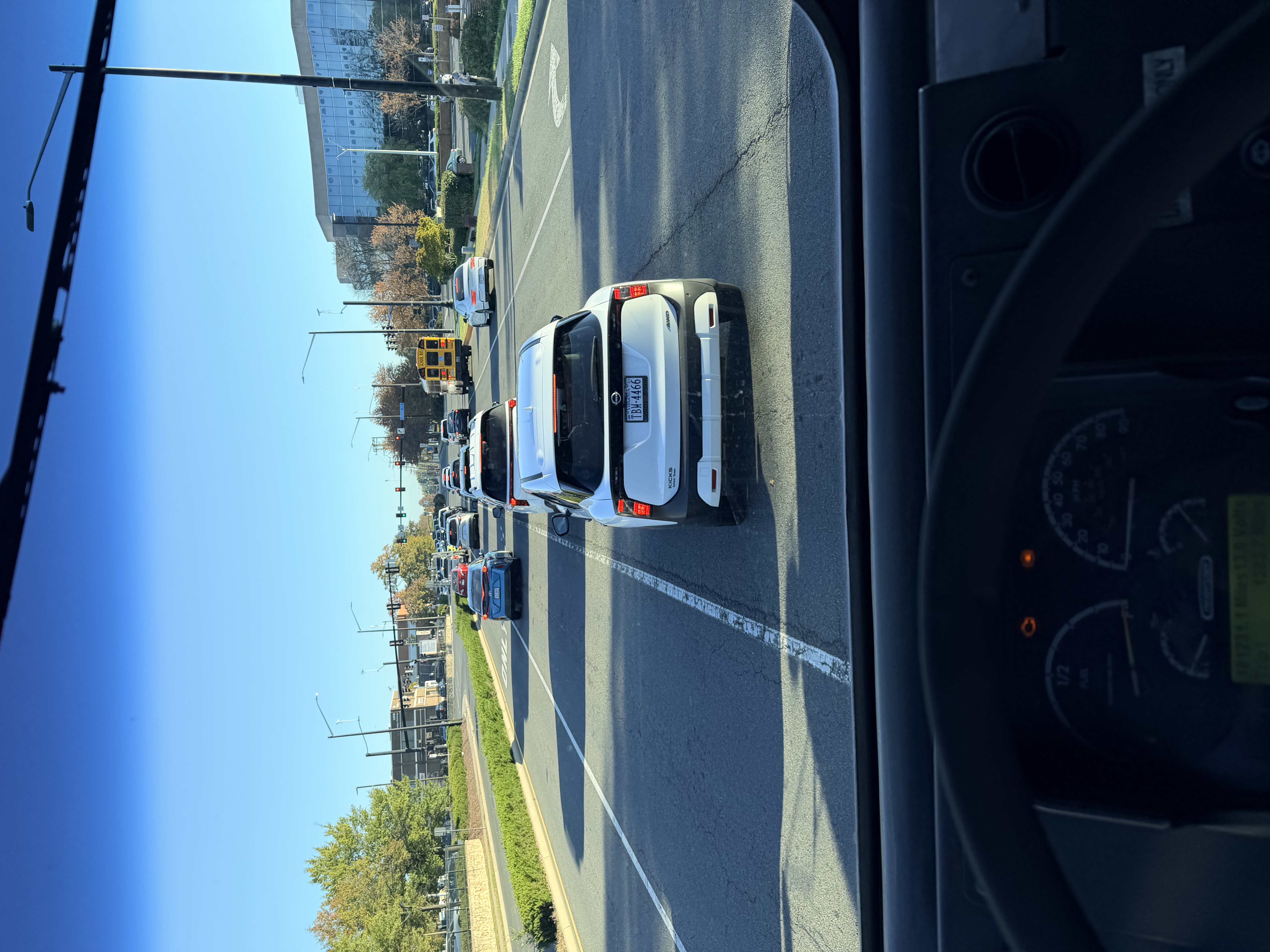 IMG_7774.jpeg