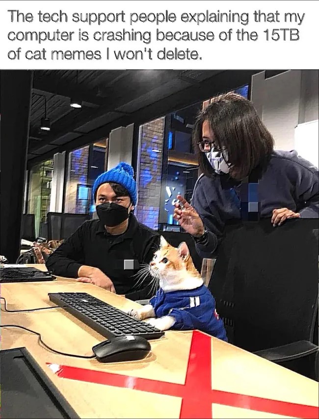 qwh1.jpg