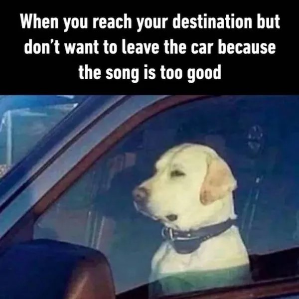 DMA_35.jpg