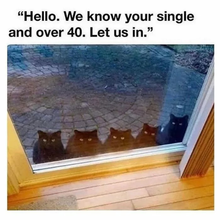single.jpg