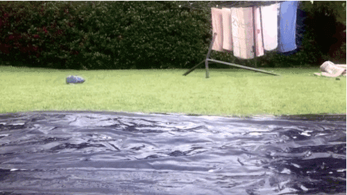 IMG_9002.gif